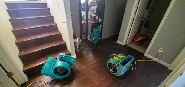 Best Residential water damage restoration  in Monroe, GA