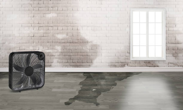 Best 24/7 water damage repair  in Monroe, GA