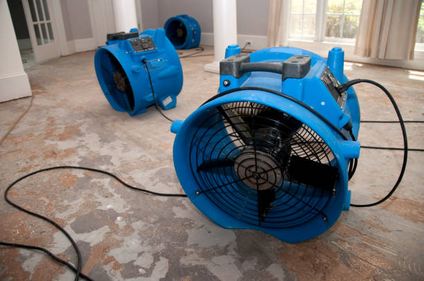 Best Fire Damage Restoration  in Monroe, GA