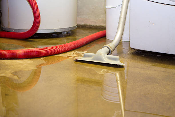 Best Carpet water damage restoration  in Monroe, GA