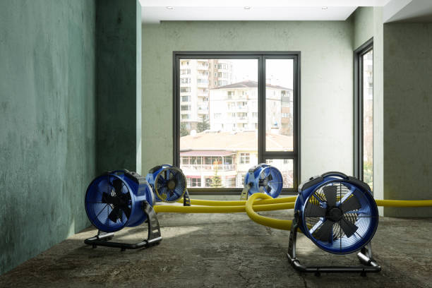 Best Basement water damage restoration  in Monroe, GA