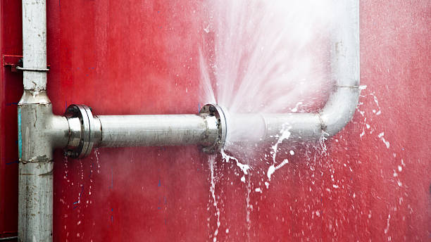 Best Water damage cleanup near me  in Monroe, GA